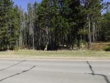 Listing Image #2 - Land for sale at 4365 Wall St., Eagle River WI 54521