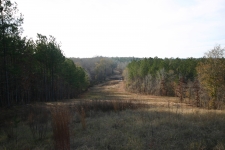 Listing Image #1 - Land for sale at Kurt Williams Rd, Talbotton GA 31827