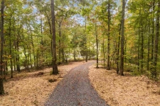 Listing Image #1 - Land for sale at 10.95 Ac Van Davis Road -, CHARLESTON TN 37310