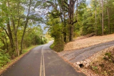 Listing Image #2 - Land for sale at 10.95 Ac Van Davis Road -, CHARLESTON TN 37310