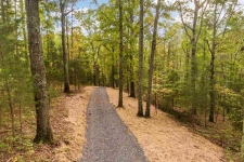 Listing Image #3 - Land for sale at 10.95 Ac Van Davis Road -, CHARLESTON TN 37310