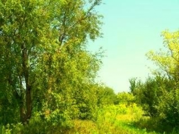 Listing Image #1 - Land for sale at Mississippi, Dixon IL 61021