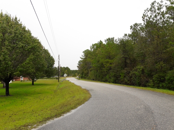 Listing Image #2 - Land for sale at Tract 1 Highway 9, Little River SC 29566