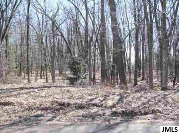 Listing Image #1 - Others for sale at 0 Craft ct, Jackson MI 49203 Listing Image #1 - Others for sale at 0 Craft ct, Jackson MI 49203