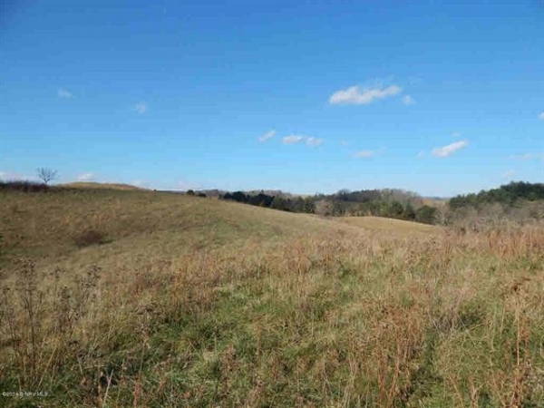Listing Image #2 - Farm for sale at TBD Reed Creek Rd, Fort Chiswell VA 24360
