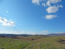 Listing Image #3 - Farm for sale at TBD Reed Creek Rd, Fort Chiswell VA 24360