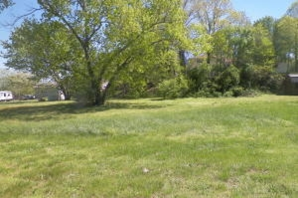 Listing Image #1 - Land for sale at tba Hickory Hills, Willow Springs MO 65793