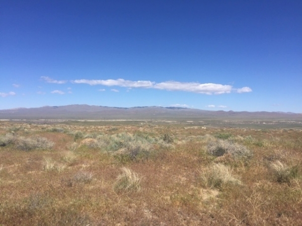 Listing Image #1 - Land for sale at Poker Brown Camp Rd/Old Emigrant Road, Lovelock NV 89419