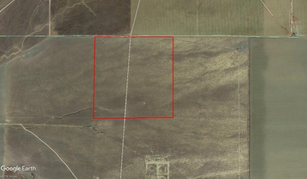 Listing Image #1 - Land for sale at Sunflower Valley, Lost Hills CA 93249