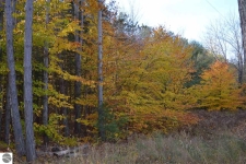 Listing Image #1 - Land for sale at F 31 Road, Cadillac MI 49601