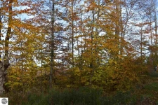 Listing Image #3 - Land for sale at F 31 Road, Cadillac MI 49601
