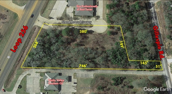 Listing Image #1 - Land for sale at 3315 S LOOP 256, Palestine TX 75801