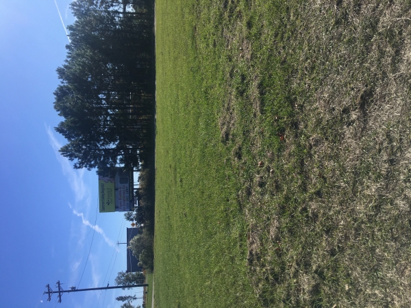 Listing Image #1 - Business for sale at 00 S Carpenter Rd, Tifton GA 31793 Listing Image #1 - Business for sale at 00 S Carpenter Rd, Tifton GA 31793