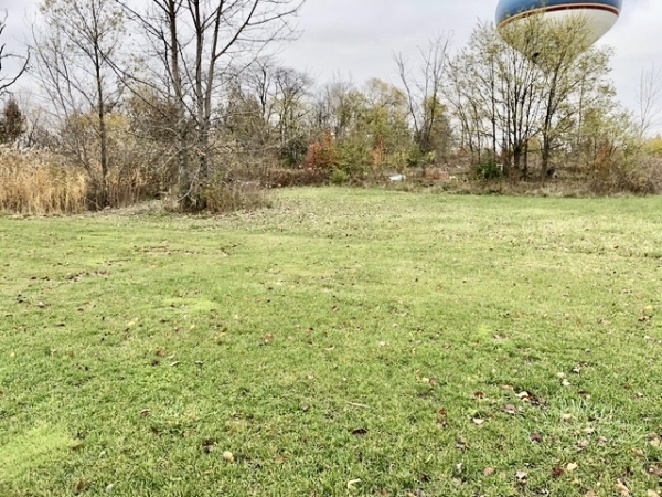 Listing Image #3 - Land for sale at 1368 Heritage Drive, Morris IL 60450