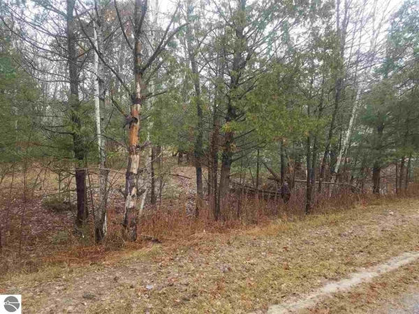 Listing Image #2 - Land for sale at 00 Betsie River Drive, Thompsonville MI 49683