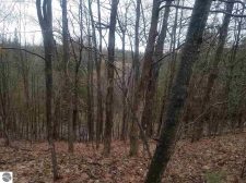Land property for sale in Thompsonville, MI