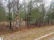 Listing Image #2 - Land for sale at 00 Betsie River Drive, Thompsonville MI 49683