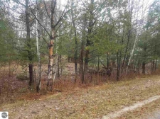 Listing Image #2 - Land for sale at 00 Betsie River Drive, Thompsonville MI 49683