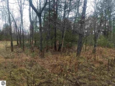 Listing Image #3 - Land for sale at 00 Betsie River Drive, Thompsonville MI 49683