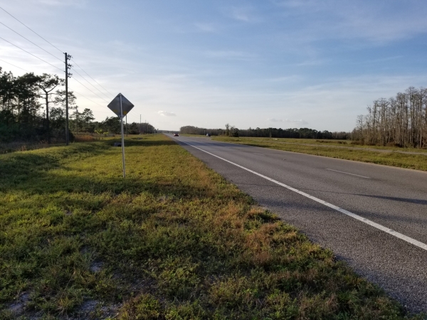 Listing Image #5 - Land for sale at E Irlo Bronson Mem Hwy, Saint Cloud FL 34771