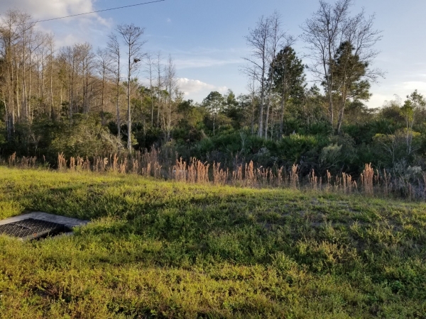 Listing Image #6 - Land for sale at E Irlo Bronson Mem Hwy, Saint Cloud FL 34771