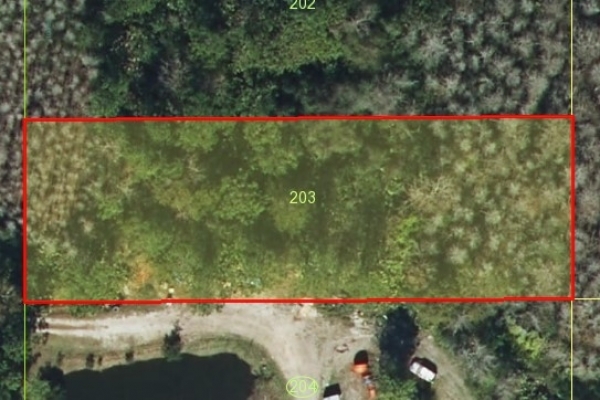 Listing Image #1 - Land for sale at Holopaw Rd, Saint Cloud FL 34773 Listing Image #1 - Land for sale at Holopaw Rd, Saint Cloud FL 34773
