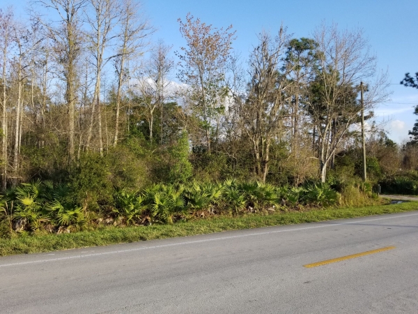 Listing Image #2 - Land for sale at Holopaw Rd, Saint Cloud FL 34773 Listing Image #2 - Land for sale at Holopaw Rd, Saint Cloud FL 34773