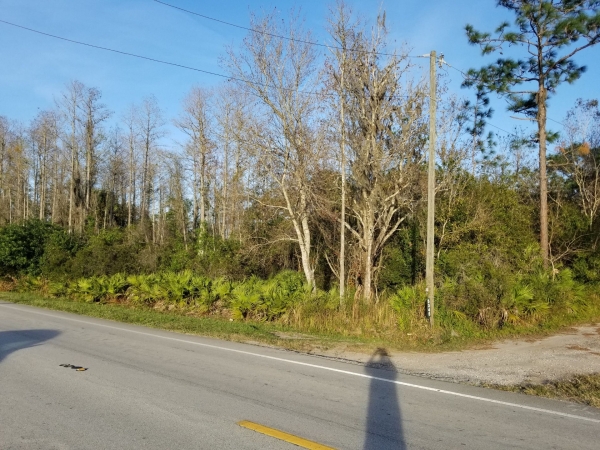 Listing Image #3 - Land for sale at Holopaw Rd, Saint Cloud FL 34773