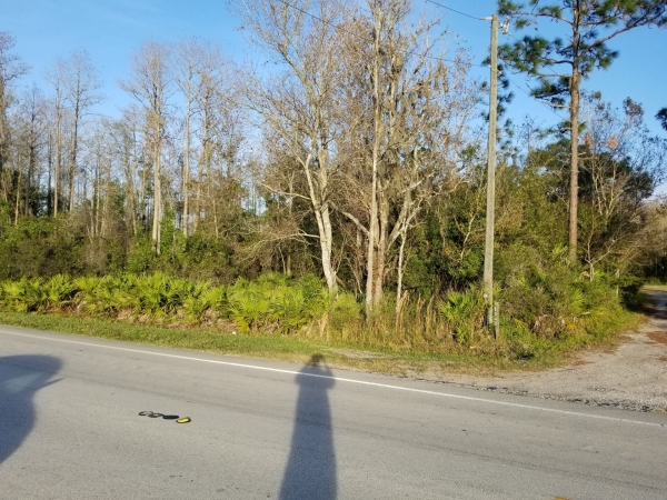 Listing Image #4 - Land for sale at Holopaw Rd, Saint Cloud FL 34773 Listing Image #4 - Land for sale at Holopaw Rd, Saint Cloud FL 34773