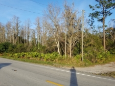 Listing Image #3 - Land for sale at Holopaw Rd, Saint Cloud FL 34773 Listing Image #3 - Land for sale at Holopaw Rd, Saint Cloud FL 34773