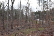 Listing Image #3 - Land for sale at 00 Knox Bridge Highway, Cherokee GA 30114