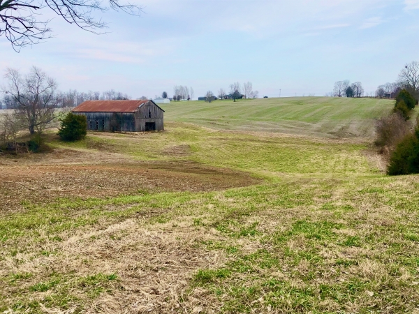 Listing Image #1 - Farm for sale at 3220 Edmonton Road, Columbia KY 42728