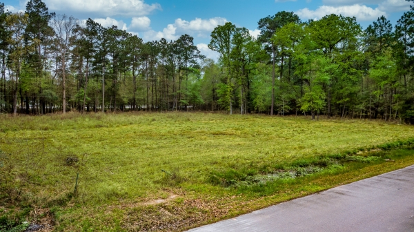 Listing Image #1 - Land for sale at 1011 Weisinger Dr, Magnolia TX 77354