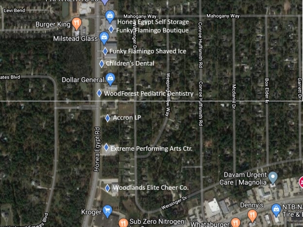 Listing Image #3 - Land for sale at 1011 Weisinger Dr, Magnolia TX 77354