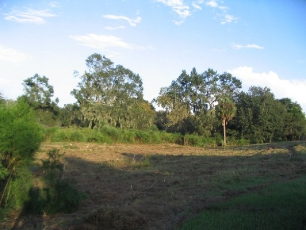 Listing Image #2 - Land for sale at 5308 Medulla Rd, Lakeland FL 33813 Listing Image #2 - Land for sale at 5308 Medulla Rd, Lakeland FL 33813