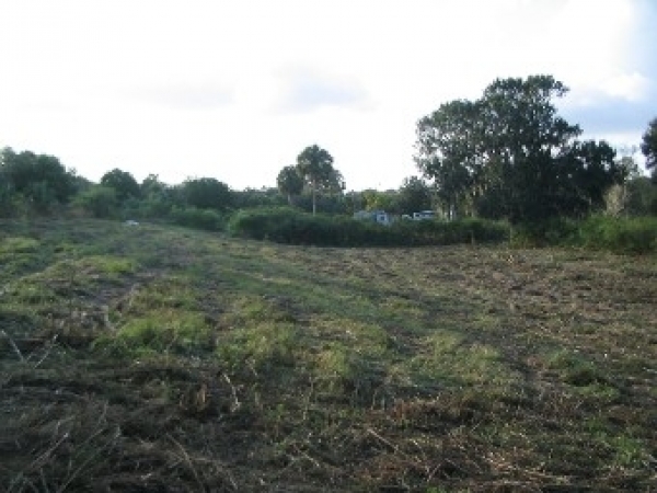 Listing Image #3 - Land for sale at 5308 Medulla Rd, Lakeland FL 33813