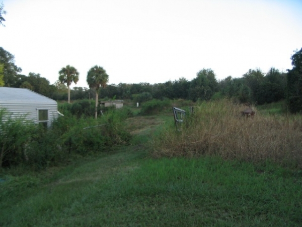 Listing Image #4 - Land for sale at 5308 Medulla Rd, Lakeland FL 33813