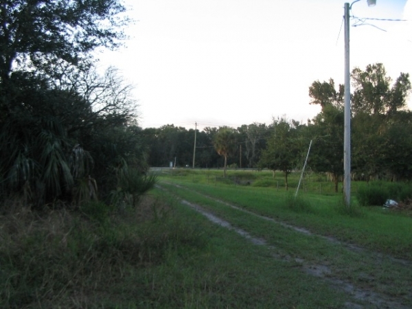 Listing Image #5 - Land for sale at 5308 Medulla Rd, Lakeland FL 33813 Listing Image #5 - Land for sale at 5308 Medulla Rd, Lakeland FL 33813