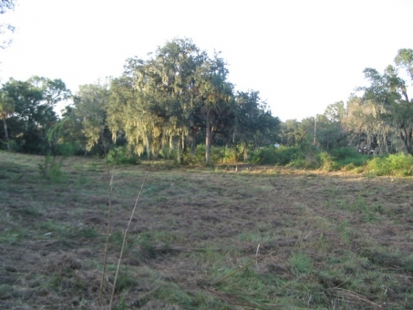 Listing Image #6 - Land for sale at 5308 Medulla Rd, Lakeland FL 33813 Listing Image #6 - Land for sale at 5308 Medulla Rd, Lakeland FL 33813