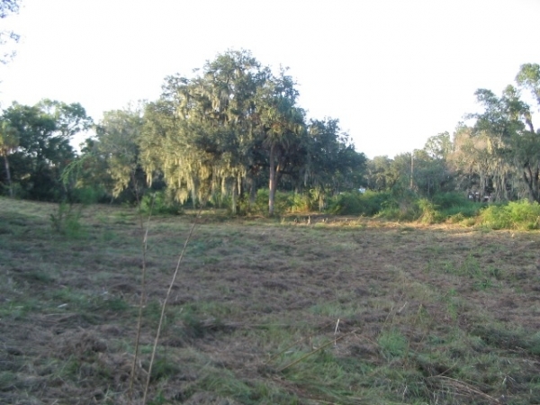 Listing Image #6 - Land for sale at 5308 Medulla Rd, Lakeland FL 33813