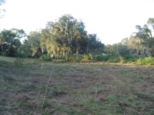 Listing Image #6 - Land for sale at 5308 Medulla Rd, Lakeland FL 33813 Listing Image #6 - Land for sale at 5308 Medulla Rd, Lakeland FL 33813