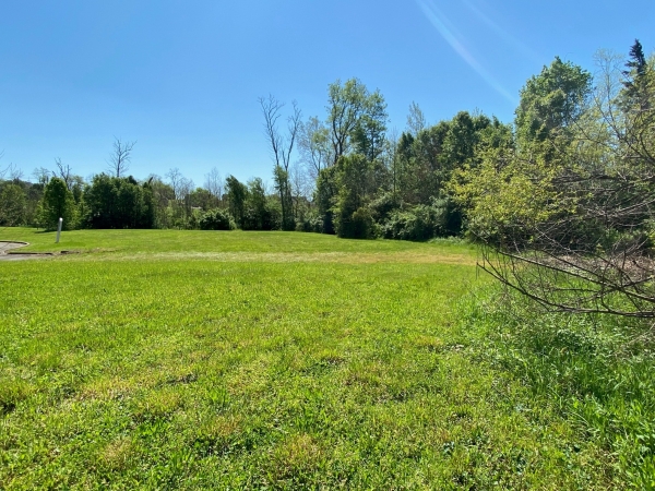 Listing Image #2 - Land for sale at 895 Woodlawn Road, Bardstown KY 40004