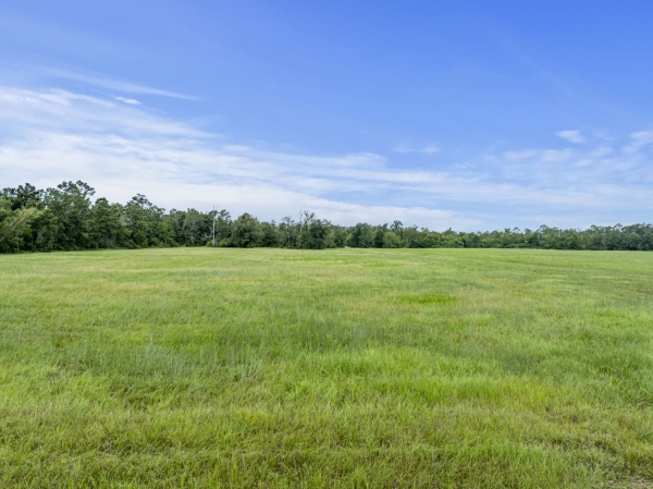 Listing Image #3 - Land for sale at Hwy 171 Hwy, Lake Charles LA 70611