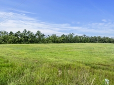 Listing Image #2 - Land for sale at Hwy 171 Hwy, Lake Charles LA 70611