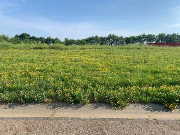 Listing Image #1 - Land for sale at Summer Evening Dr., Canal Fulton OH 44646 Listing Image #1 - Land for sale at Summer Evening Dr., Canal Fulton OH 44646