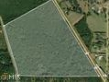 Listing Image #2 - Land for sale at 0 Highway 155 Tract A 40 Ac's +/- Highway, Stockbridge GA 30281