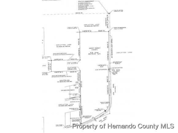 Listing Image #3 - Land for sale at 0 Vfw Road, Brooksville FL 34601