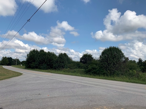 Listing Image #3 - Land for sale at 00 Old Newnan Road, Carrollton GA 30116