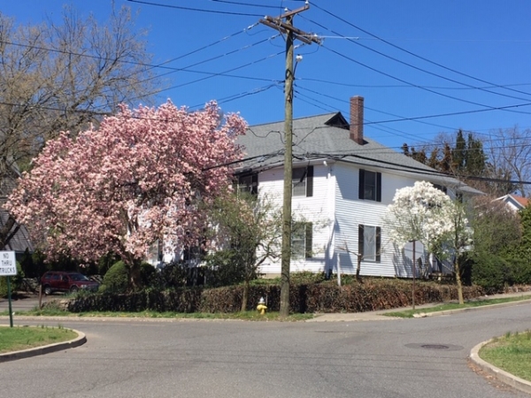 Listing Image #1 - Office for sale at 105 Woodrow Avenue, Southport CT 06890