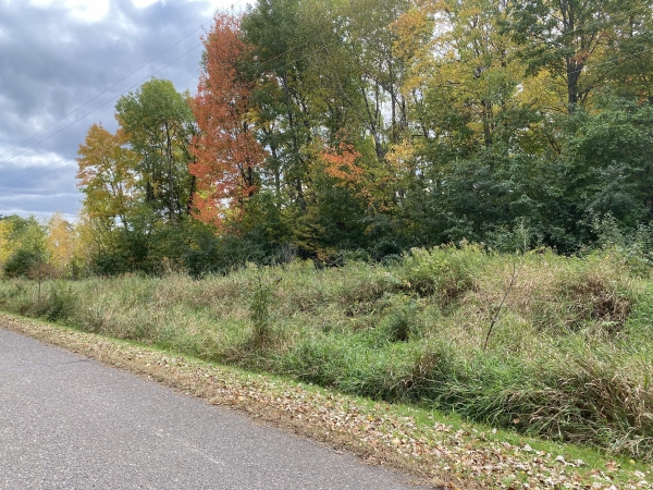 Listing Image #4 - Land for sale at TBD Griffin Street, Amery WI 54001